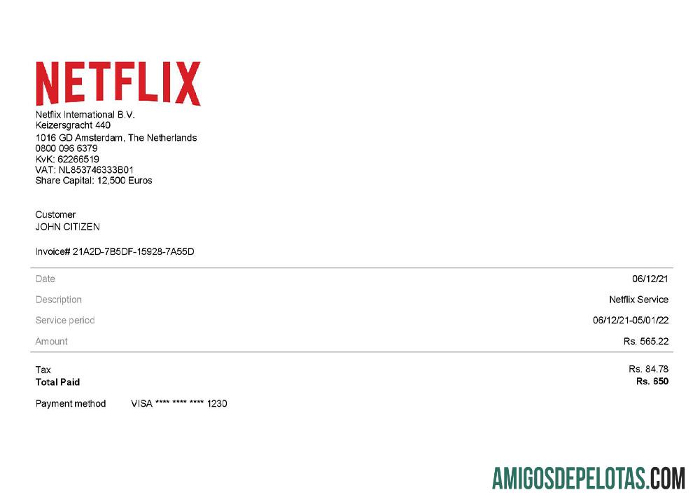 para download Modelo de fatura Netflix dos EUA